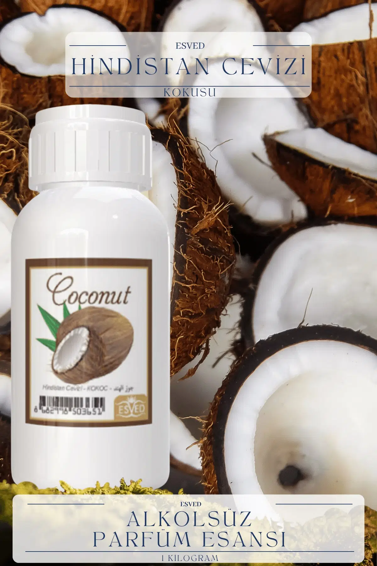 Hindistan Cevizi Kokusu Toptan Parfüm Esansı 1 Kilogram