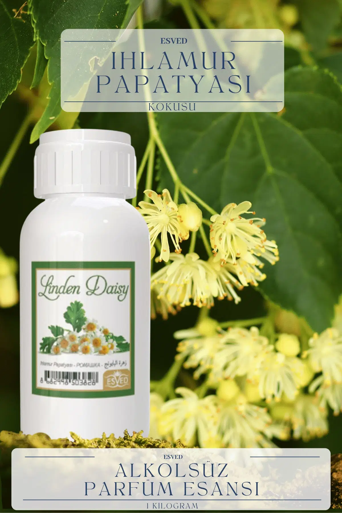 Ihlamur Çiçeği Kokusu Toptan Parfüm Esansı 1 Kilogram