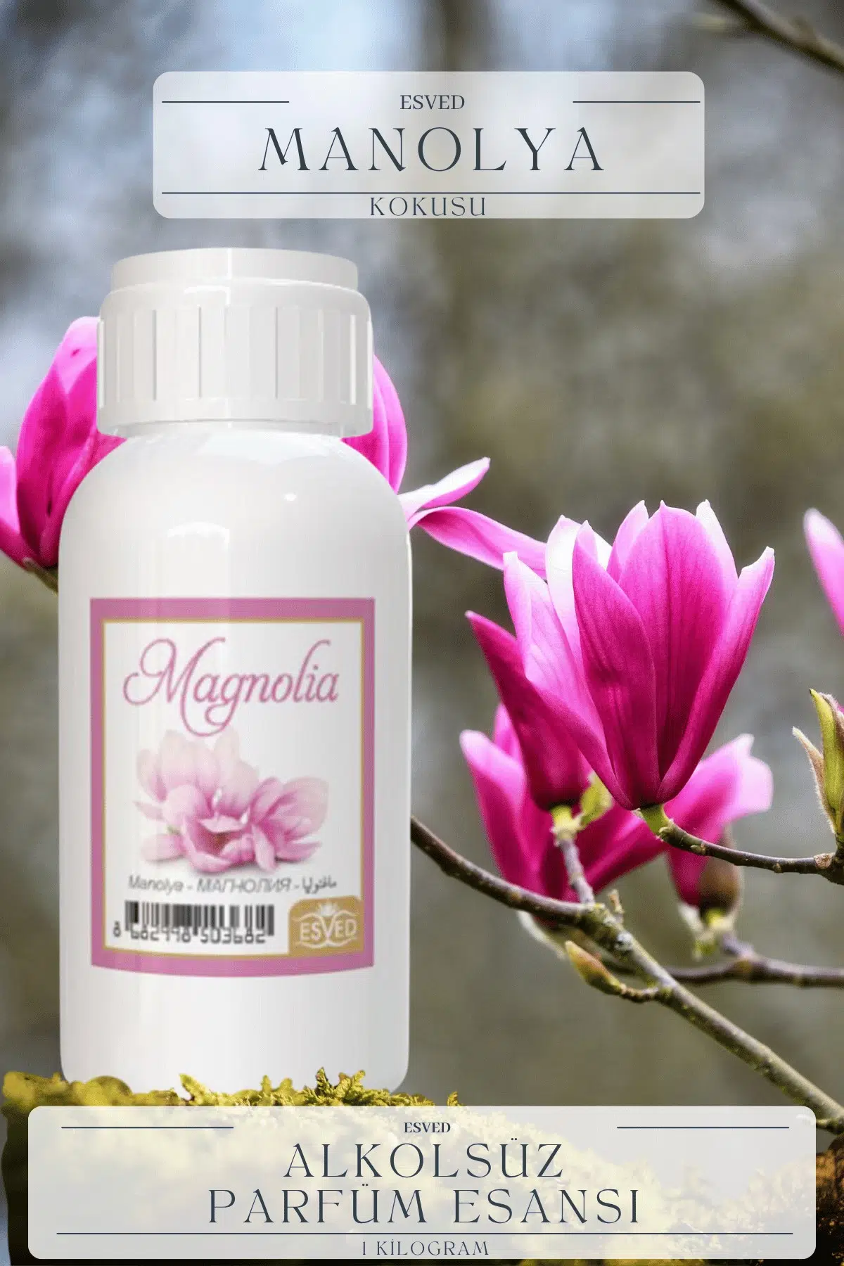 Manolya Kokusu Toptan Parfüm Esansı 1 Kilogram