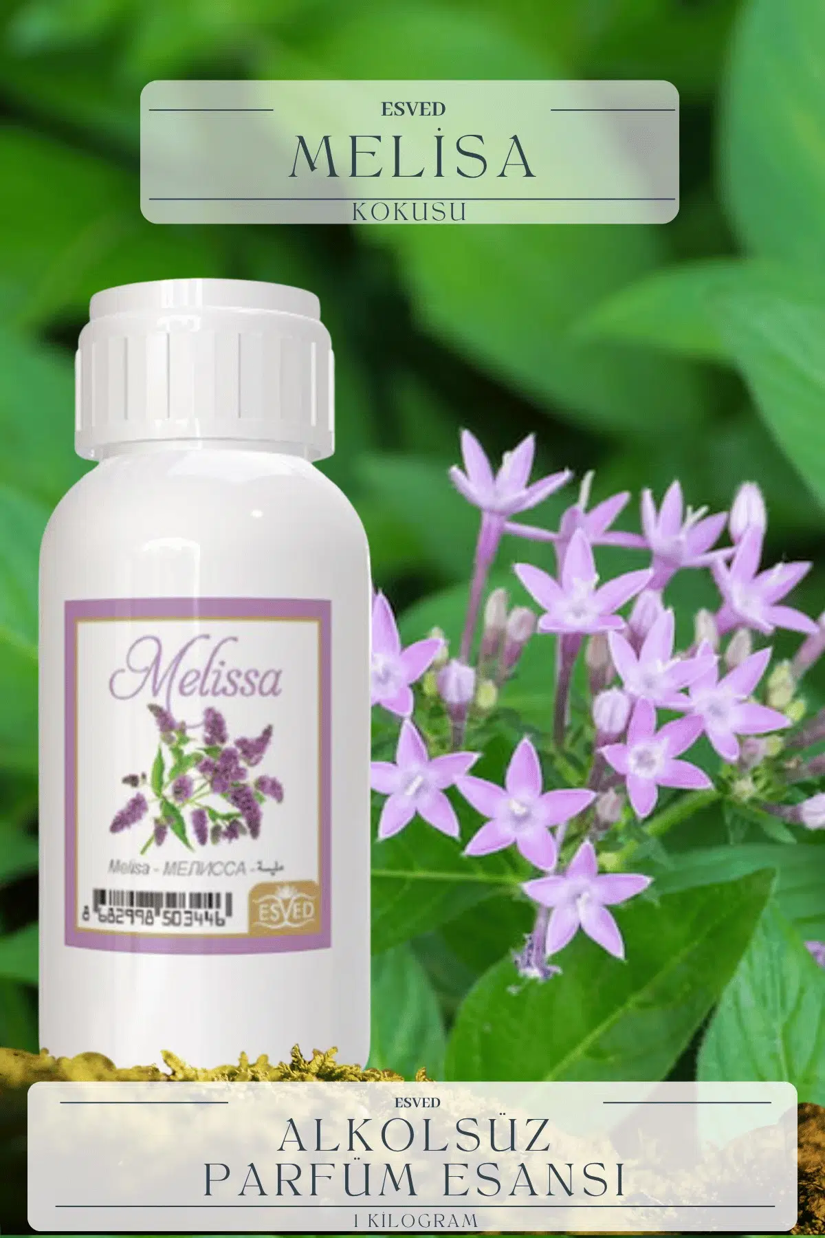 Melisa Kokusu Toptan Parfüm Esansı 1 Kilogram