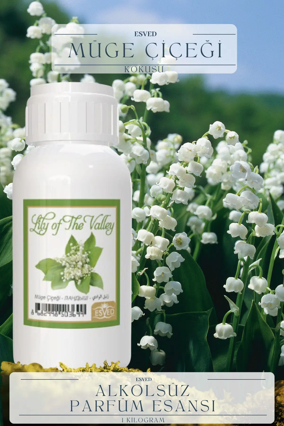 Müğe Çiçeği Kokusu Toptan Parfüm Esansı 1 Kilogram