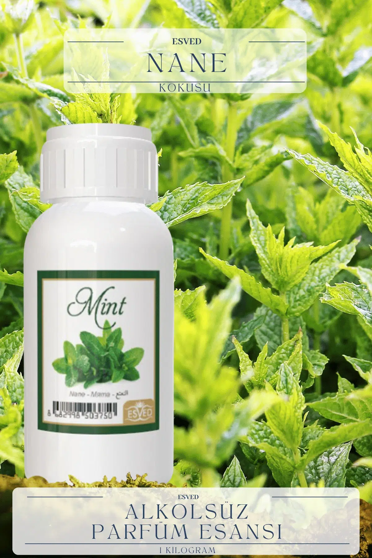 Nane Kokusu Toptan Parfüm Esansı 1 Kilogram