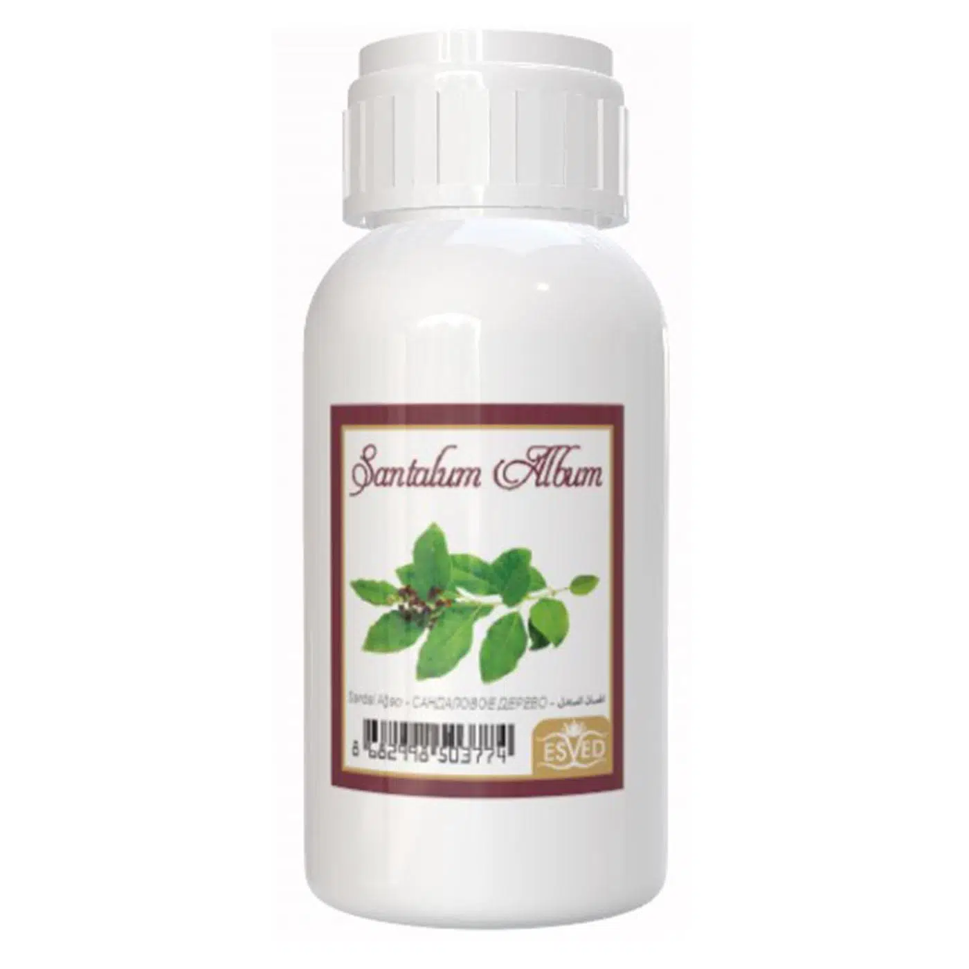 Sandal Ağacı Kokusu 100 Ml Çubuklu Oda Kokusu Yedek Dolum Şişesi Hediyeli Sandal Ağacı Kokusu 100 Ml Çubuklu Oda Kokusu Yedek Dolum Şişesi Hediyeli